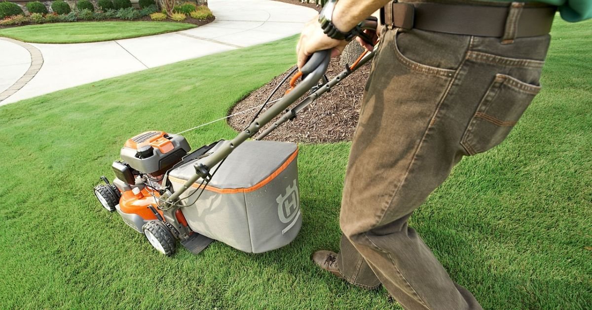 Sea Breeze Lawn Care: Expert Landscaping for Charleston