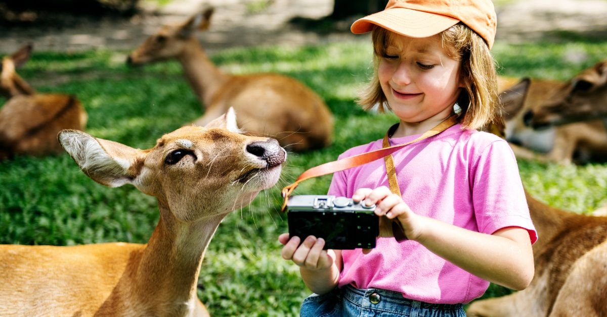 America's First Zoo