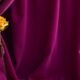 5 Stunning Complementary