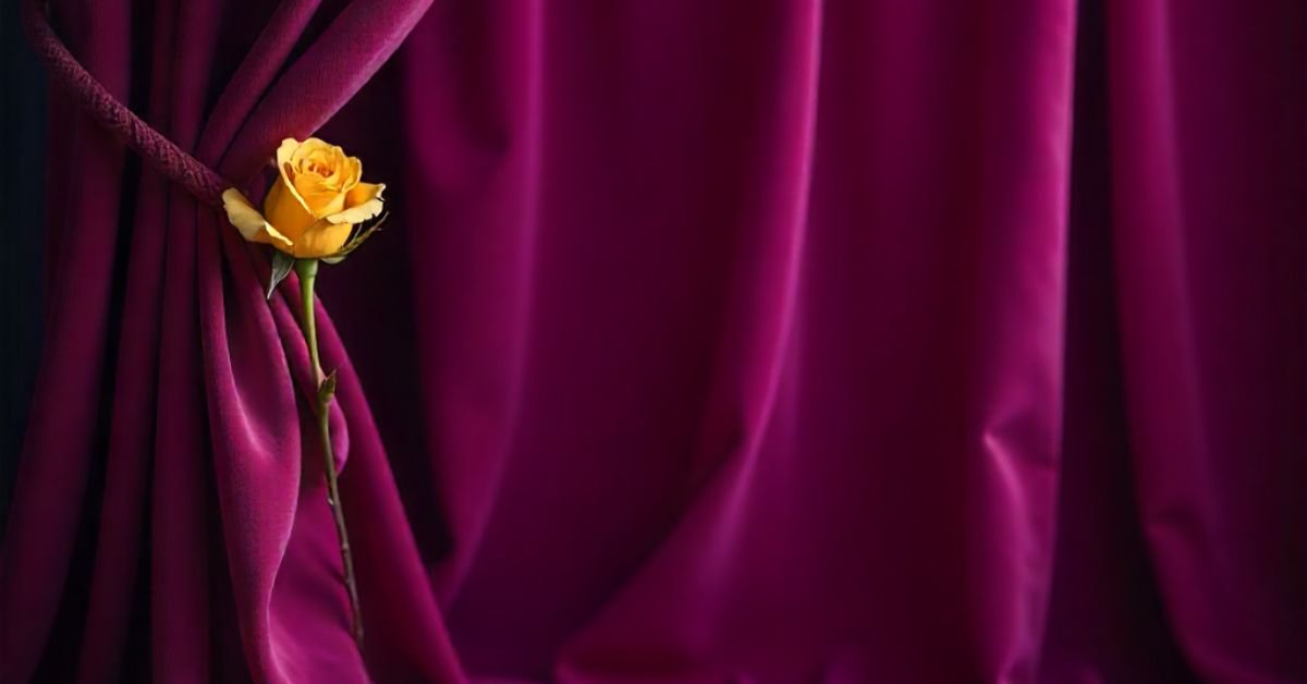 5 Stunning Complementary